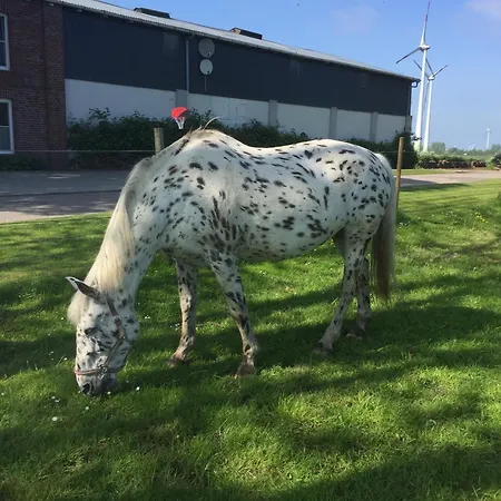 Haus Denker * Brunsbuttel